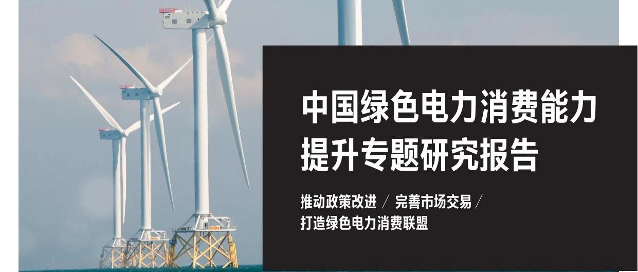 中国绿色电力消费能力提升专题研究报告（全文）