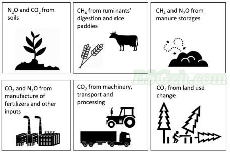 粮食生产会产生什么类型的排放？(图1)