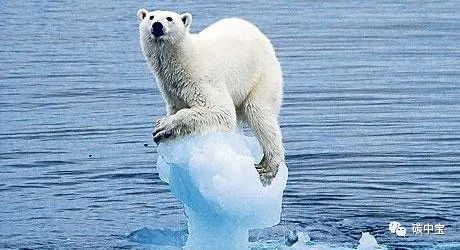 碳补偿完全指南(图1) 碳补偿完全指南(图1)