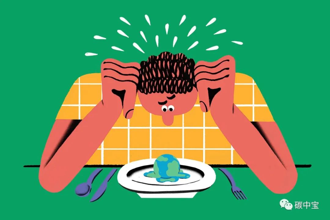 碳补偿完全指南(图2) 碳补偿完全指南(图2)