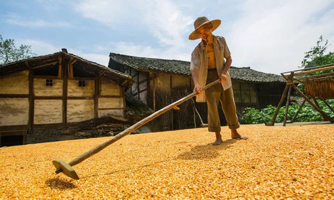 碳补偿完全指南(图10) 碳补偿完全指南(图10)