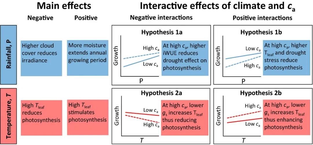GCB丨近年来的二氧化碳浓度上升改变了热带树木生长对降雨和温度的敏感性(图3)