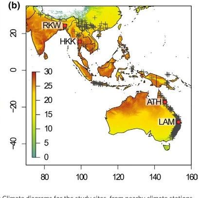 GCB丨近年来的二氧化碳浓度上升改变了热带树木生长对降雨和温度的敏感性