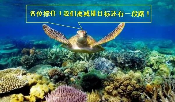 澳大利亚碳税：向左走还是向右走？(图6)