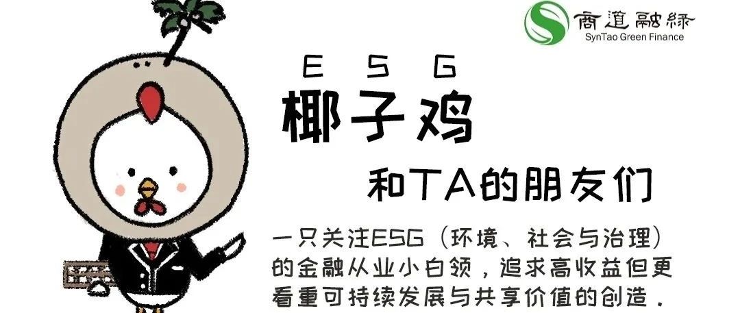 5分钟学会炖好一锅“椰子鸡”（ESG）