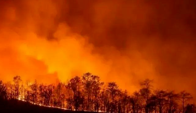 2020重启失败：唐山5.1级地震，南方暴雨 ，石油泄漏引爆北极大火……(图21)