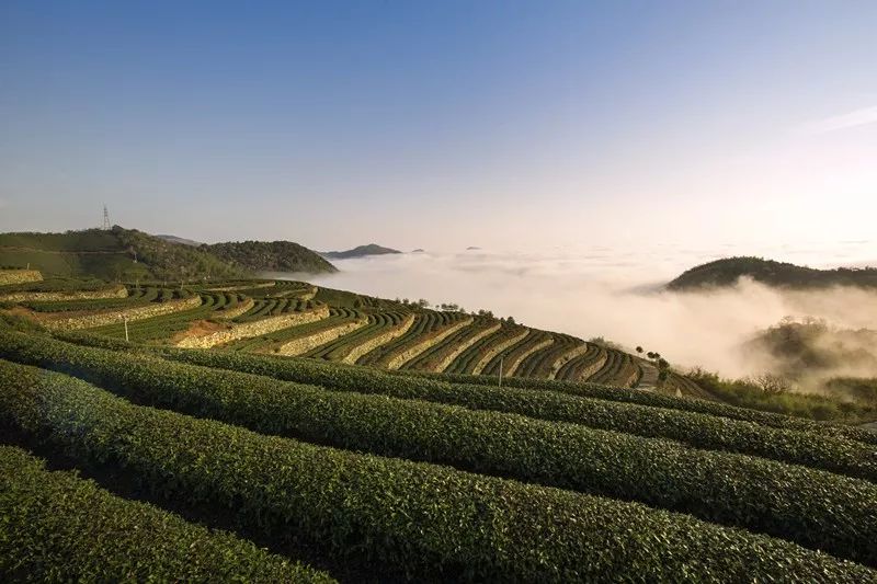 刚刚!《全国乡村产业发展规划(2020-2025年)》发布!(图15) 刚刚!《全国乡村产业发展规划(2020-2025年)》发布!(图17)