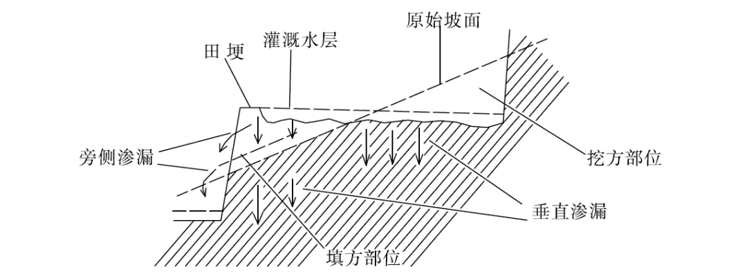 废弃土地如何做生态修复？(图3)