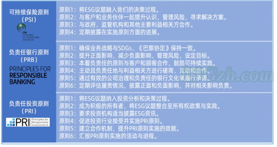 新兴市场ESG整合面临的挑战(图1)
