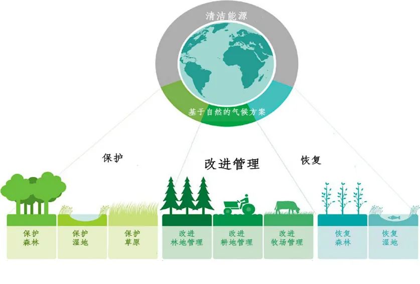 解锁自然的力量 | 减缓气候变化(图5)