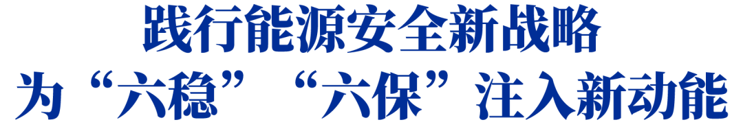 新机与新局｜中国华能舒印彪：践行能源安全新战略 为“六稳”“六保”注入新动能(图1)