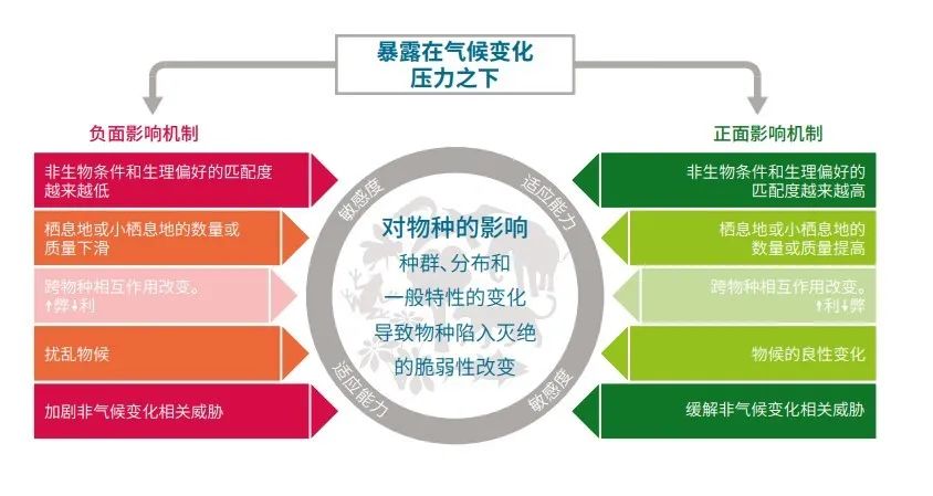 扭转自然下降曲线，让地球生命力再次悦动 —— 《地球生命力报告2020》发布(图5)