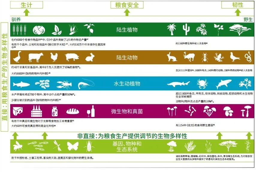 扭转自然下降曲线，让地球生命力再次悦动 —— 《地球生命力报告2020》发布(图9)