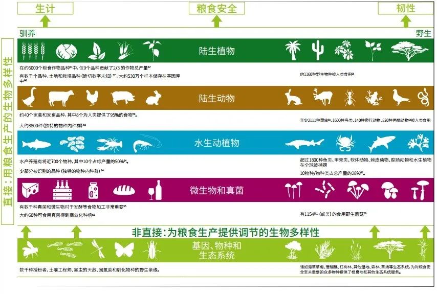 扭转自然下降曲线，让地球生命力再次悦动 —— 《地球生命力报告2020》发布(图9)