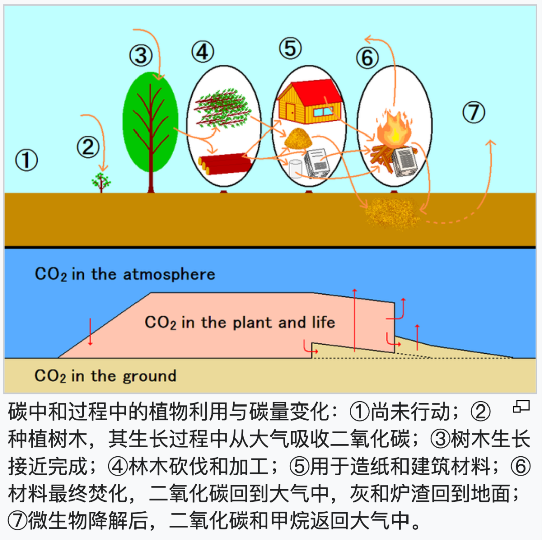 全球气候治理的重大突破，“碳中和”承诺带来的机遇与挑战(图3)