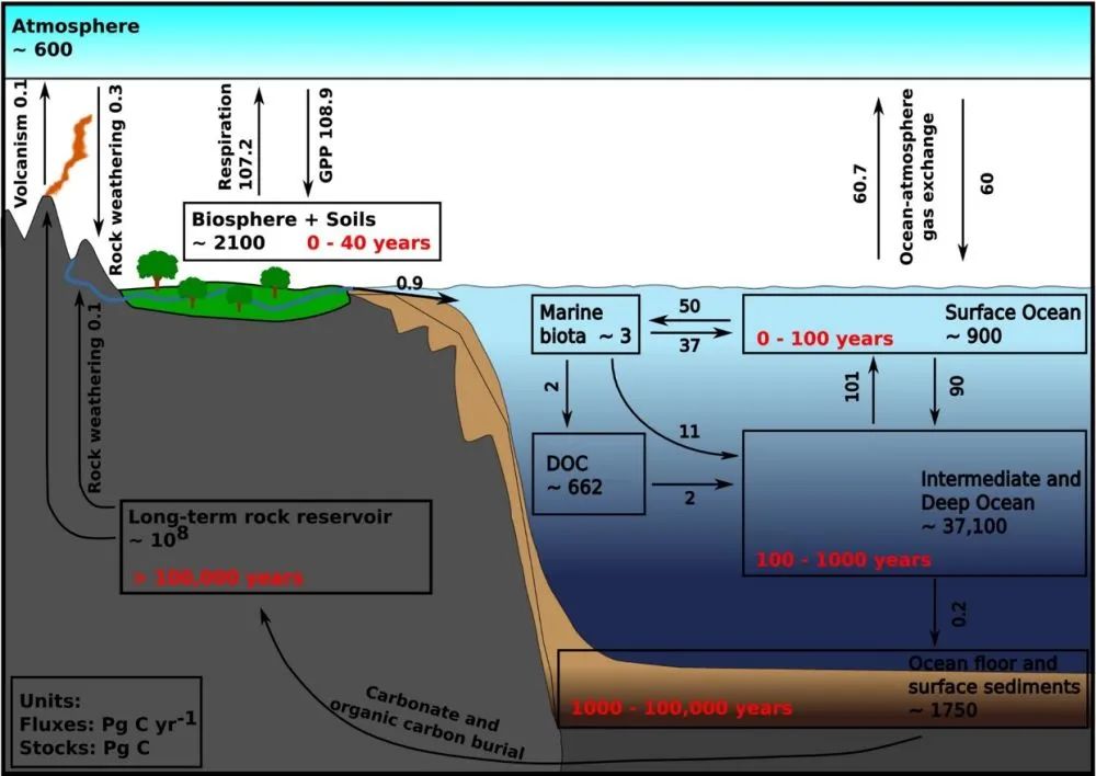 NREE：高山流水觅碳踪(图4)