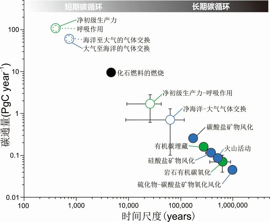 NREE：高山流水觅碳踪(图6)