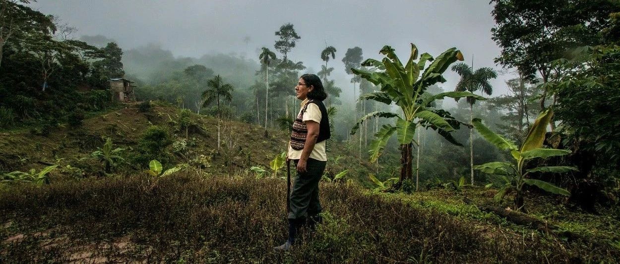 可持续发展中的“半边天”：气候变化下的女性脆弱性与力量